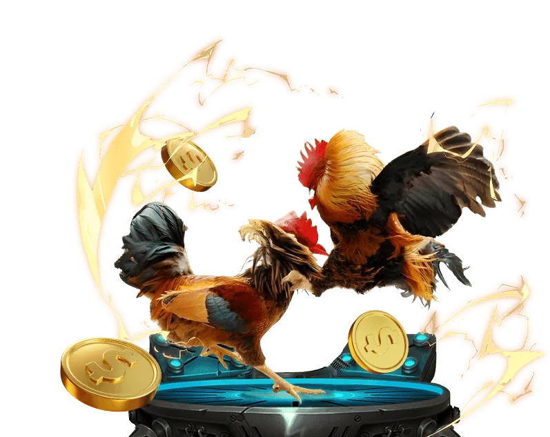 Hoàn trả cược thua AV88